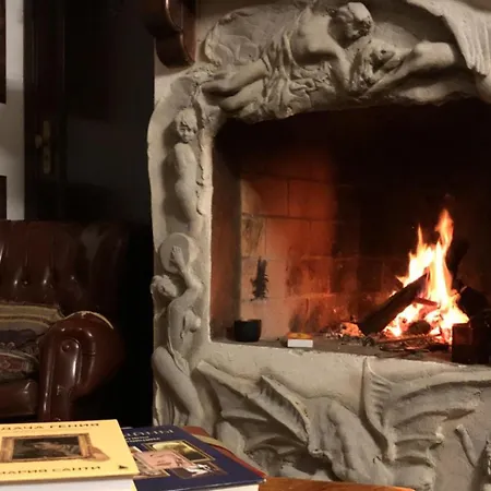 Cozy House Sleeps 2 With Pet Friendly Option