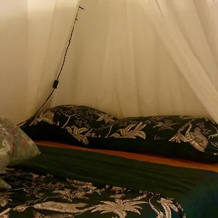 Cozy House Sleeps 2 With Pet Friendly Option * Mexilhoeira Grande